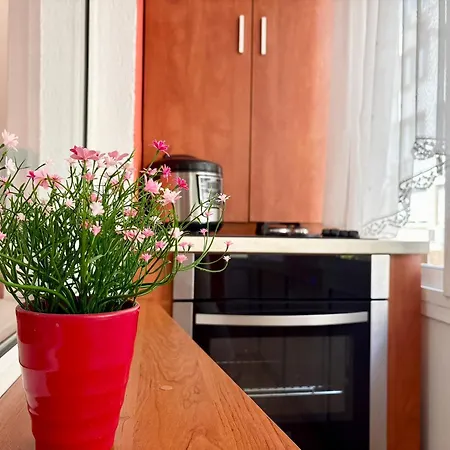 Apartment General Parensov *