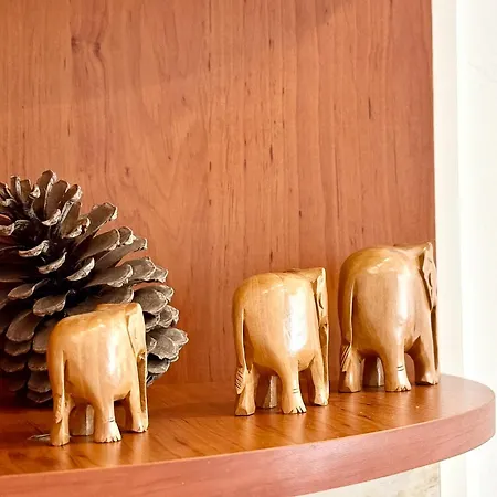 General Parensov Apartment *